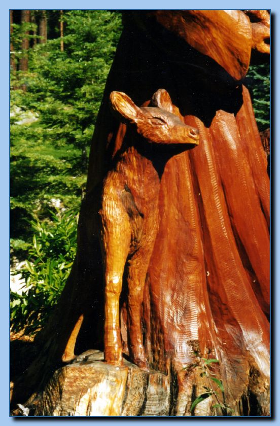 2-10 st. francis with animals-archive-0018